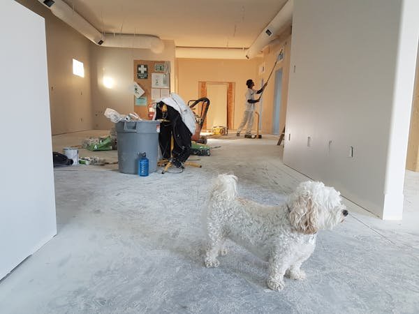 Rénovation d'ampleur : transformez votre habitat avec énergie